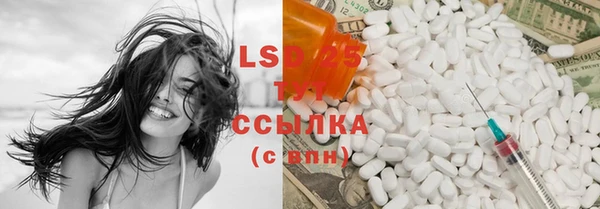 ПСИЛОЦИБИНОВЫЕ ГРИБЫ Белоозёрский