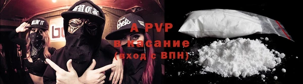ПСИЛОЦИБИНОВЫЕ ГРИБЫ Белоозёрский