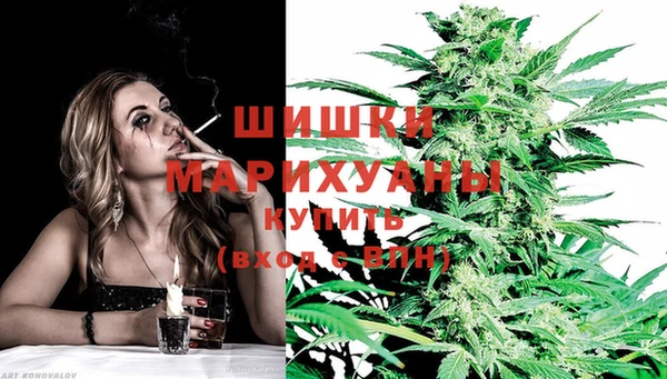 2c-b Белокуриха