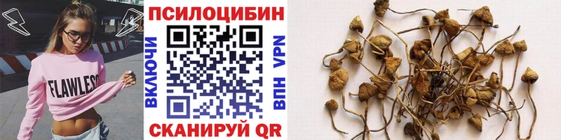 цены   кракен как войти  Псилоцибиновые грибы GOLDEN TEACHER  Обь 